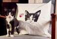 FAIRTRADE CANVAS COTTON CUSHION COVER