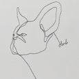 The Frenchie