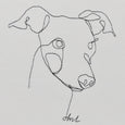 The Whippet