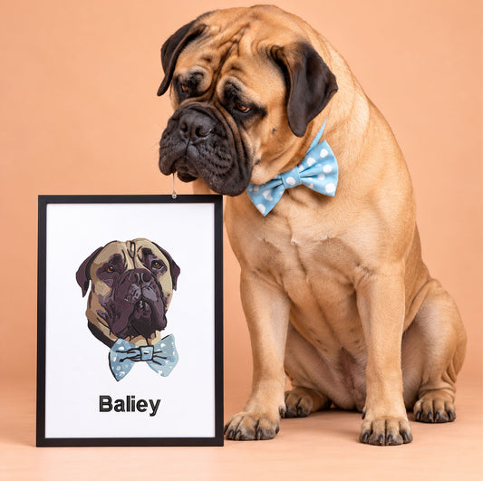 Personalised Pet Portrait Embroidery – Framed