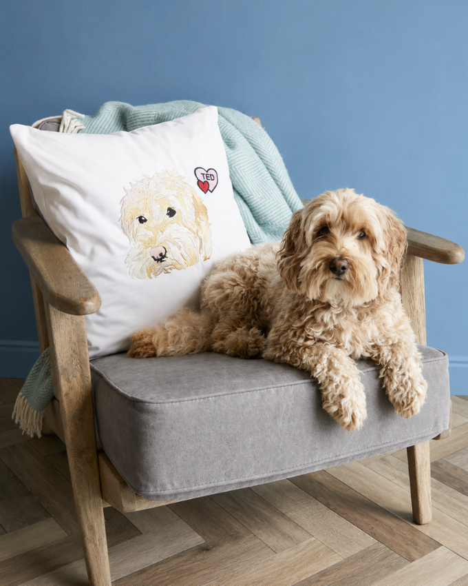 Personalised Pet Embroidered Cushion Cover
