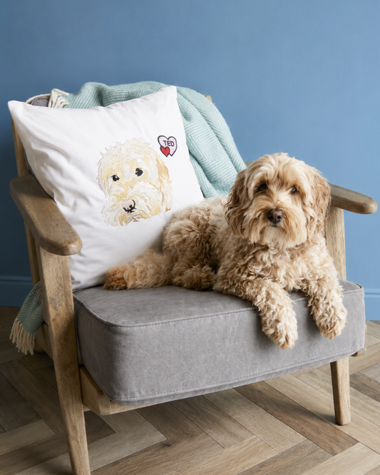 Personalised Pet Embroidered Cushion Cover