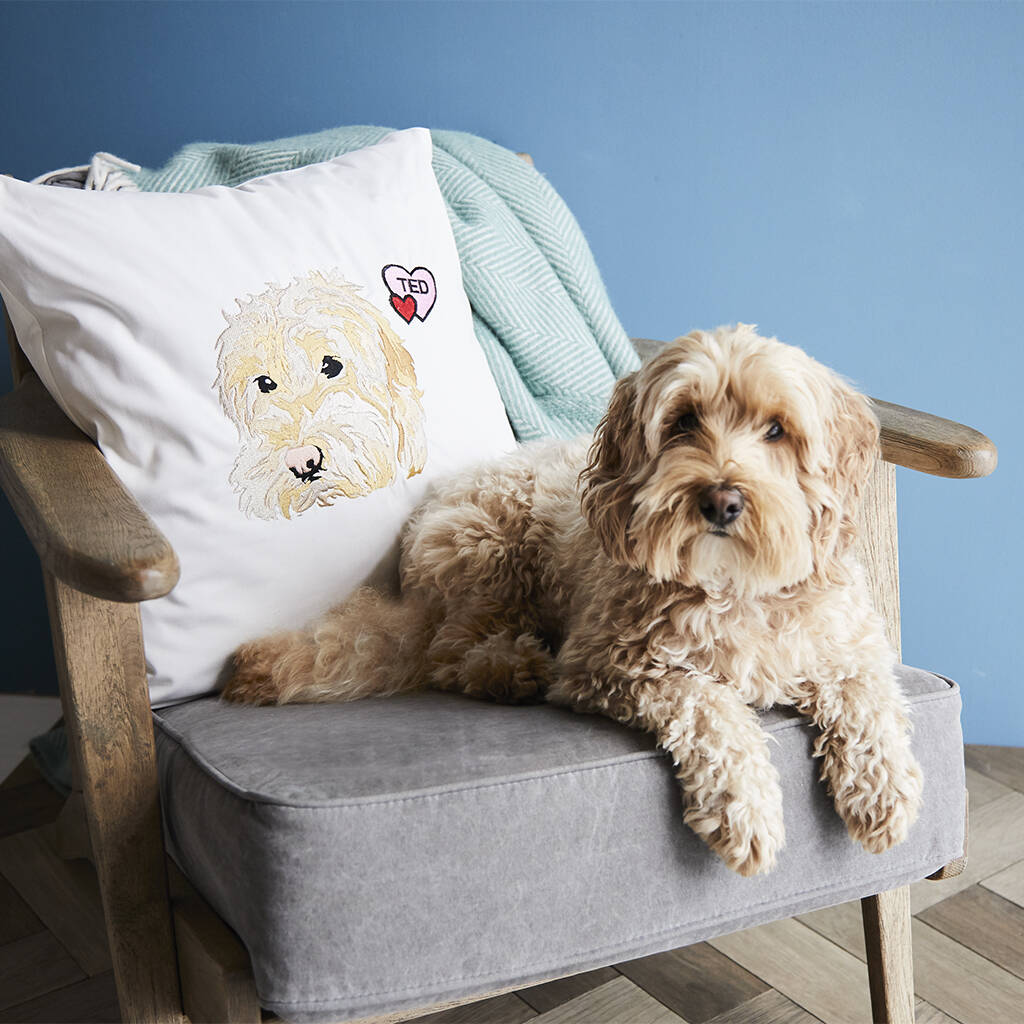 Personalised Pet Embroidered Cushion Cover